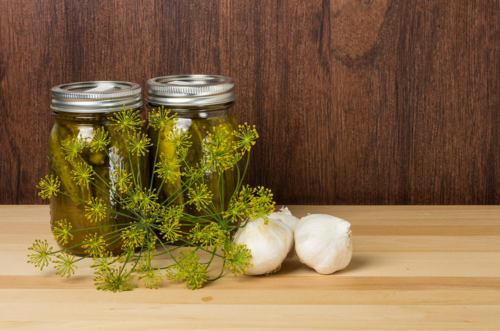 Jars of fresh pickled cucumbers with dill and garlic.